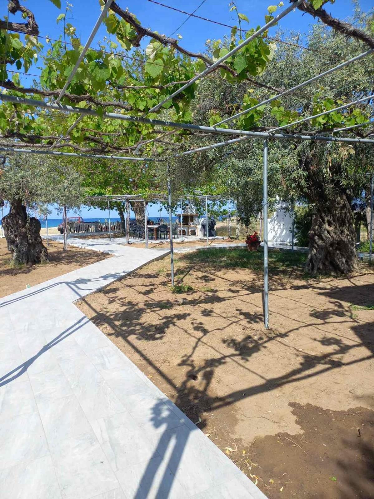Opalium Beach Front Suites Potos Extérieur photo
